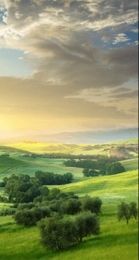 Sybil and Herbert Brady